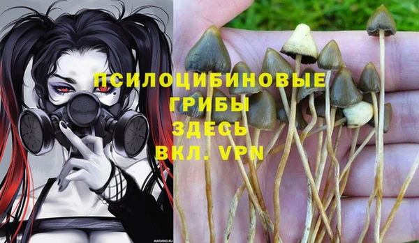 прущие крисы Верхнеуральск