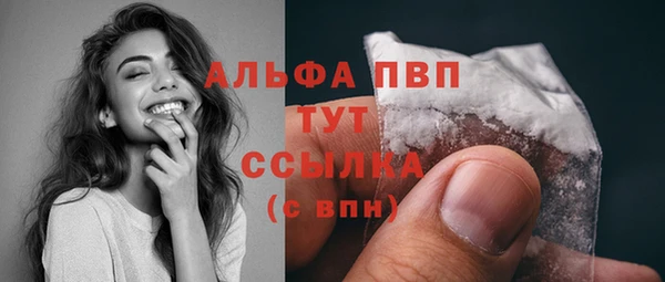 индика Волоколамск