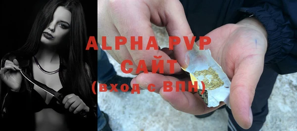 индика Волоколамск