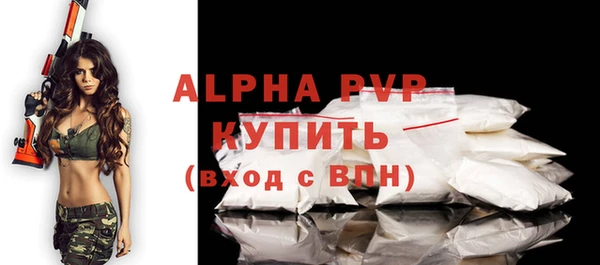 индика Волоколамск