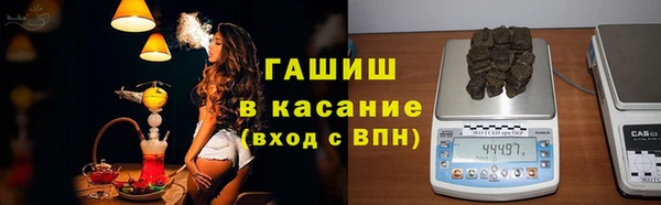 прущие грибы Волосово