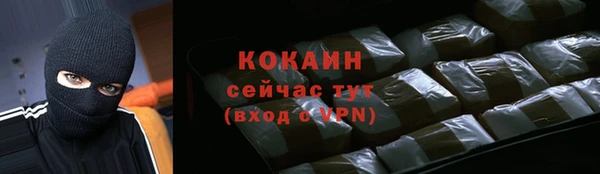 твердый Володарск