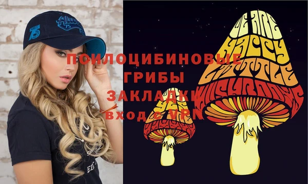 твердый Володарск