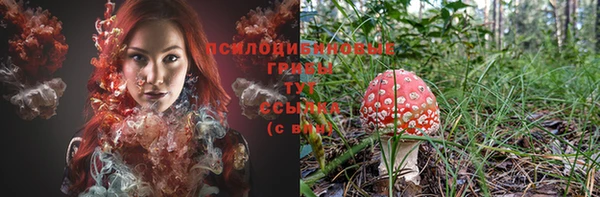 твердый Володарск