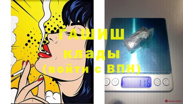 индика Волоколамск