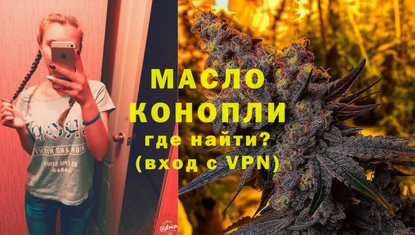 индика Волоколамск