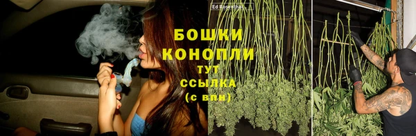 индика Волоколамск