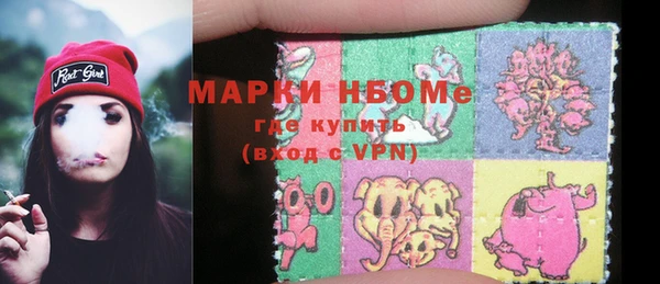индика Волоколамск