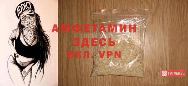 твердый Володарск