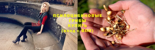 прущие грибы Волосово